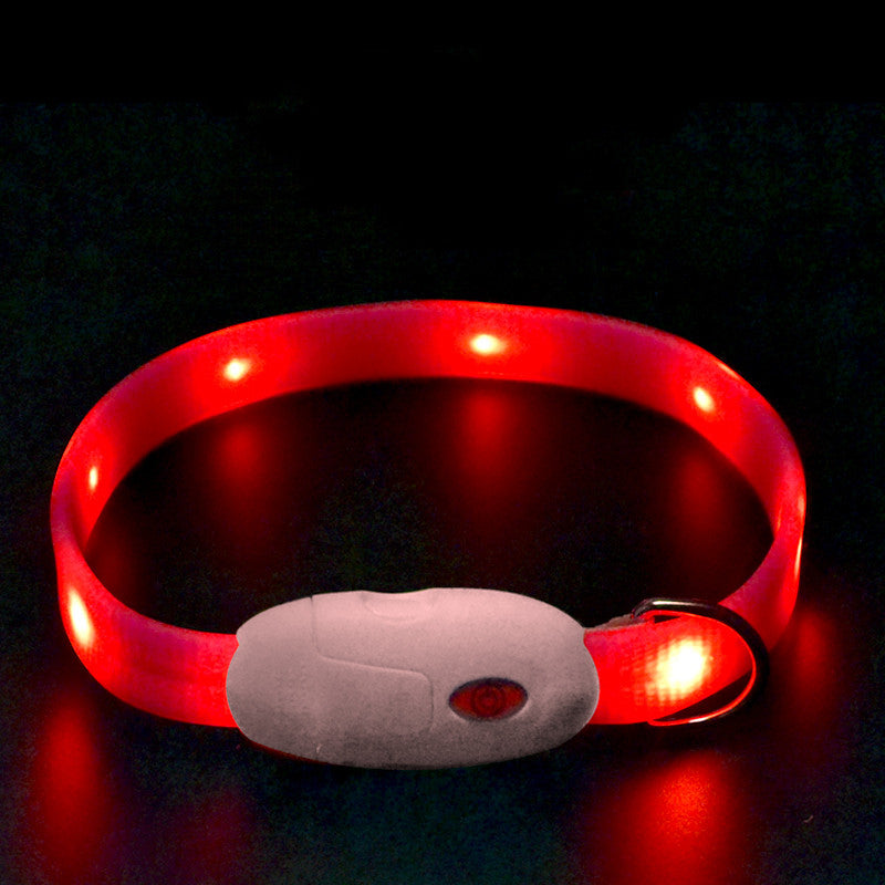 Collar Luminoso para Perro para Evitar Pérdidas