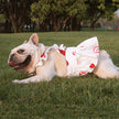 Lotus Leaf Lace Suspender Skirt Fadou Sherry Teddy Small And Medium Sized Dog, Cat And Dog Clothes Bago Strawberry Print