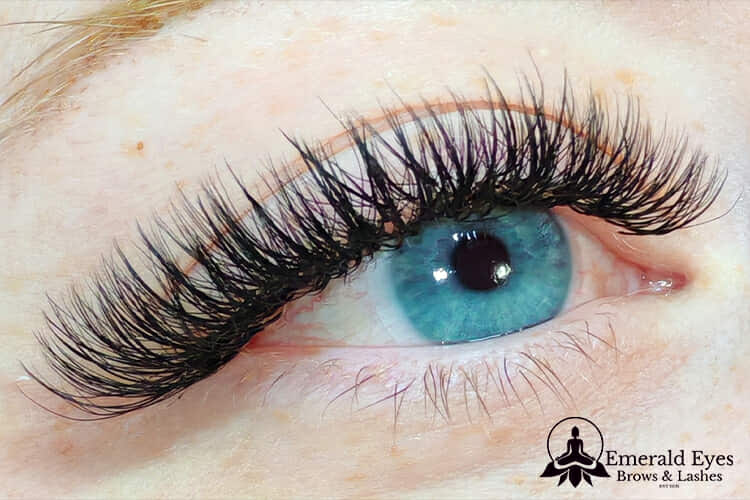 Fairy Lashes Single Length 16 Row Tray
