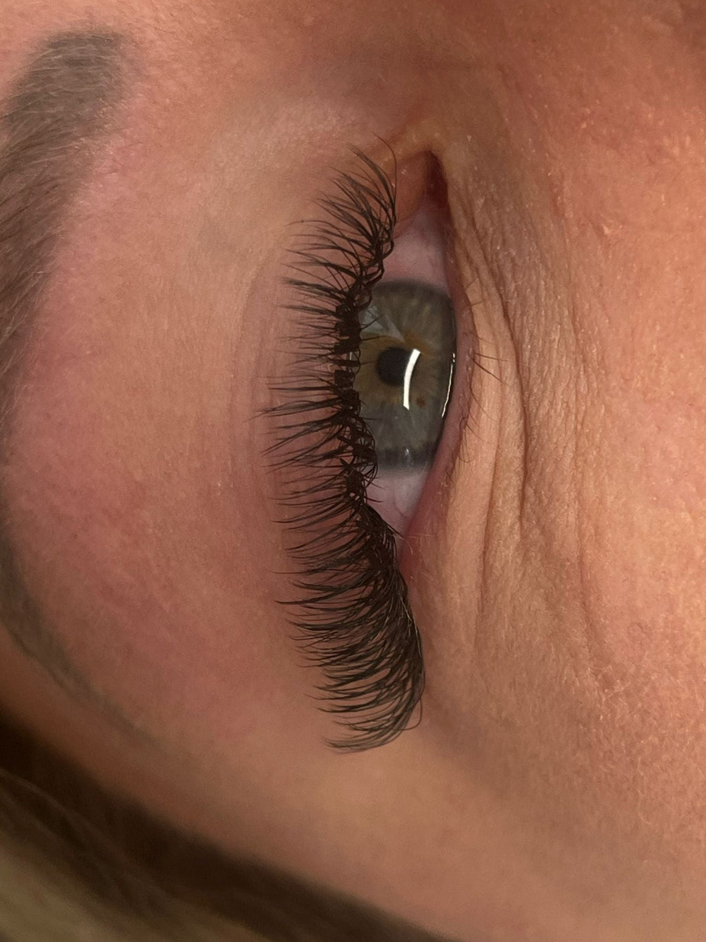 Fairy Lashes Single Length 16 Row Tray
