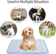 Keep Your Pet Cool All Summer With  Cooling Mat For Cats And Dogs