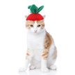 Pet Headgear Cute Dog Teddy Dress Up SUNFLOWER Cat Headdress Wig Cat Headgear Hat