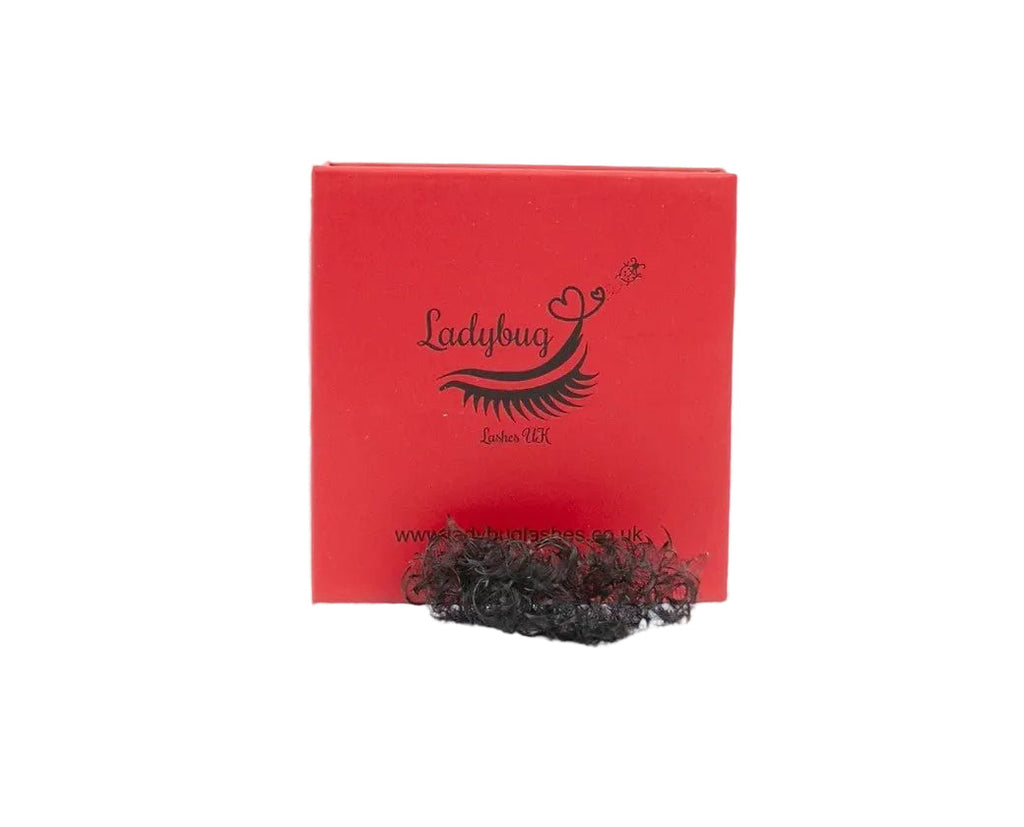 Loose Promades D Curl 8d-20d