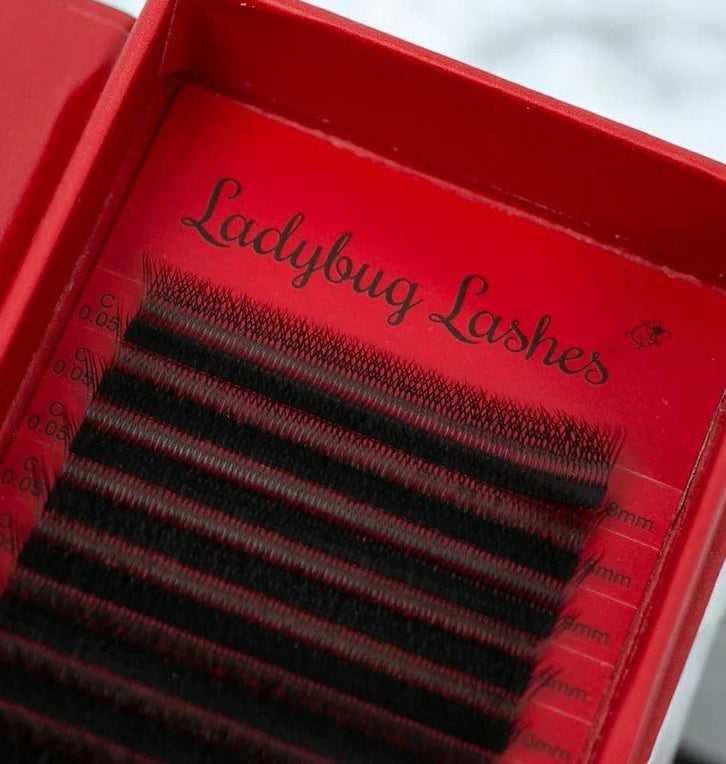 W Lash 16 Row Mixed Tray
