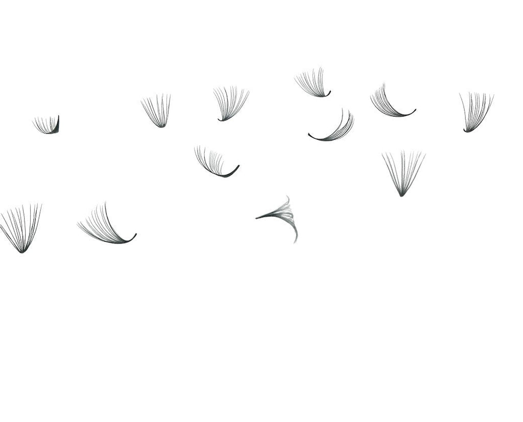 Loose Promades D Curl 8d-20d