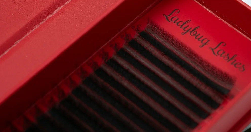 W Lash 16 Row Mixed Tray
