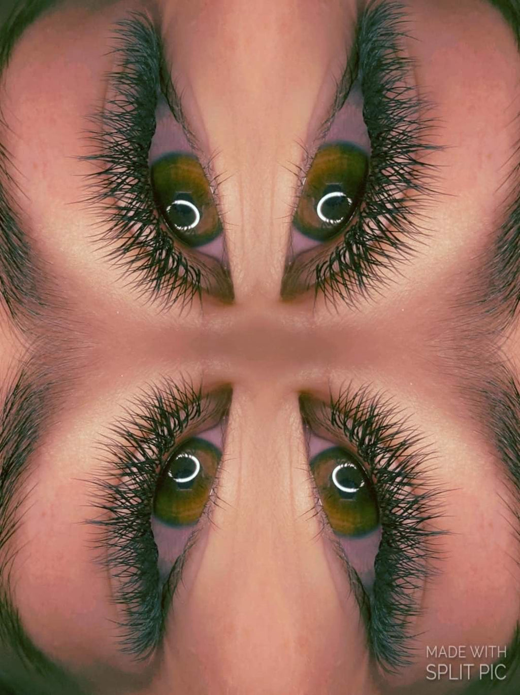 Sample YY Lash Tray