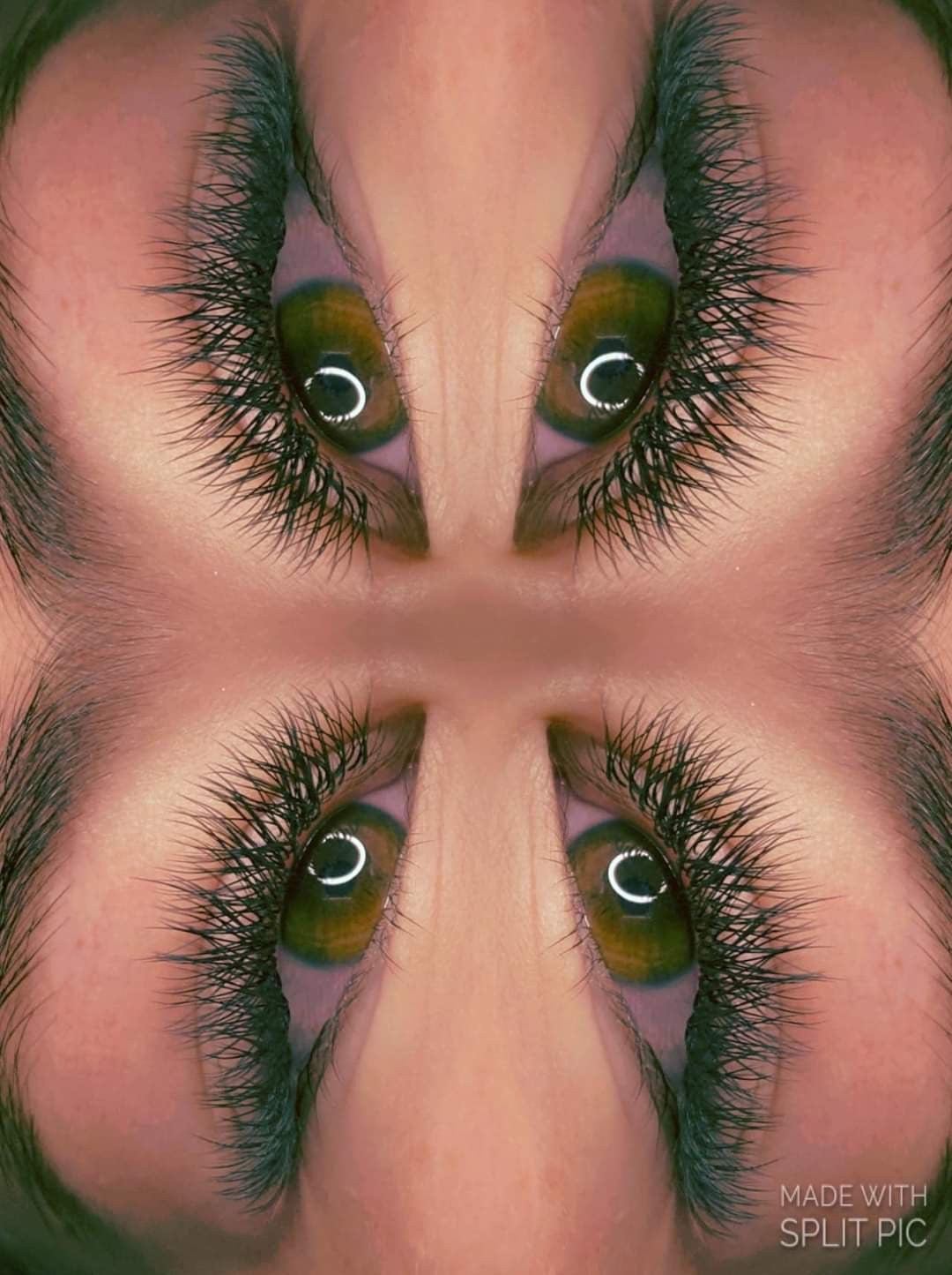 Sample YY Lash Tray