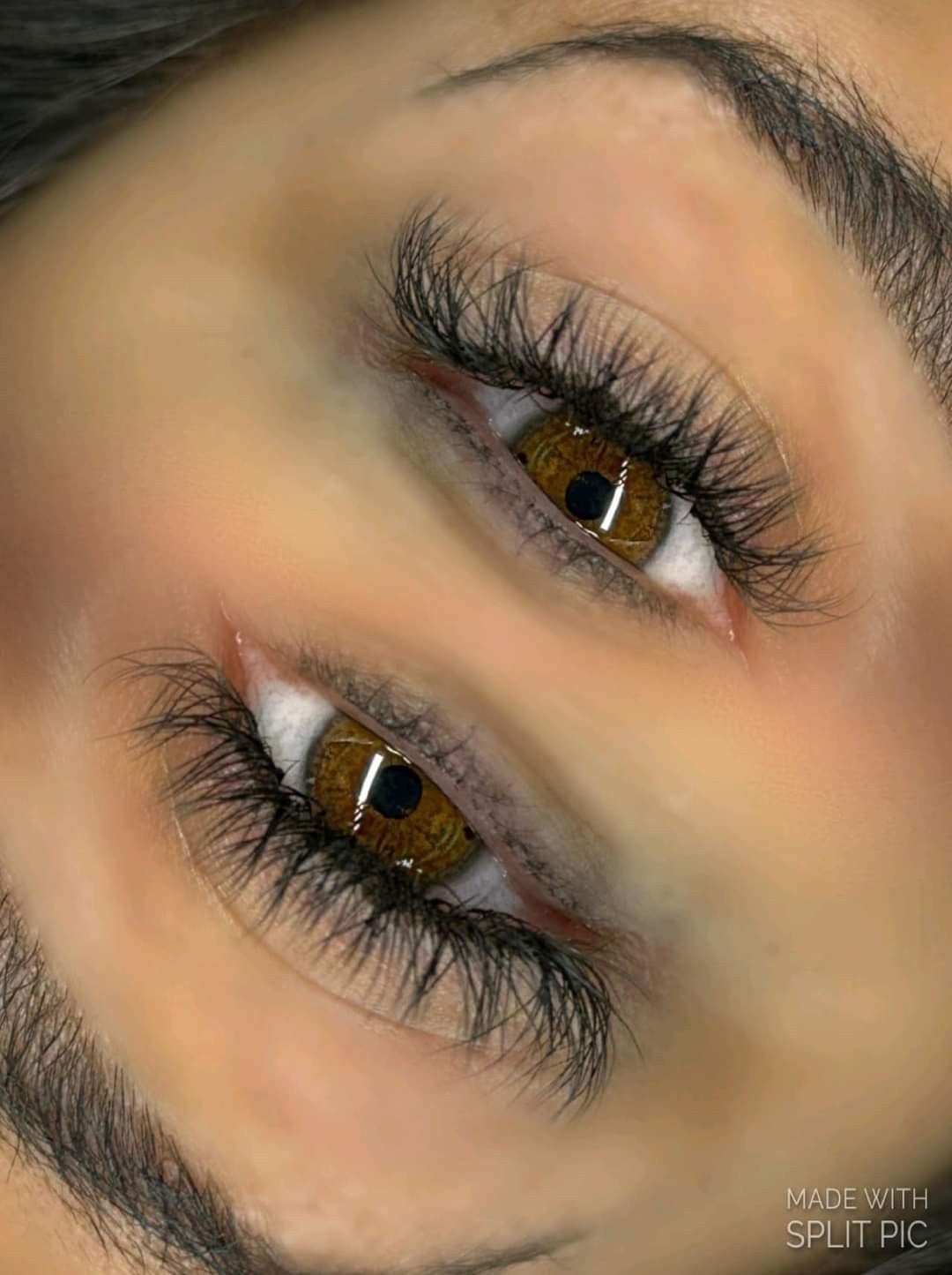 Sample YY Lash Tray