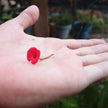 Mixed Flower & Poppy Oval Pendant Necklace