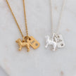 Fox Terrier Personalised Silver Dog Tag Necklace