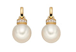 Elements Gold Freshwater Pearl Earrings with Diamond Set Top