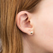 Elements Gold Hexagon Stud Earrings