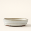 31cm Glazed Bonsai Pot | Oval | 31cm x 24cm x 7cm | White
