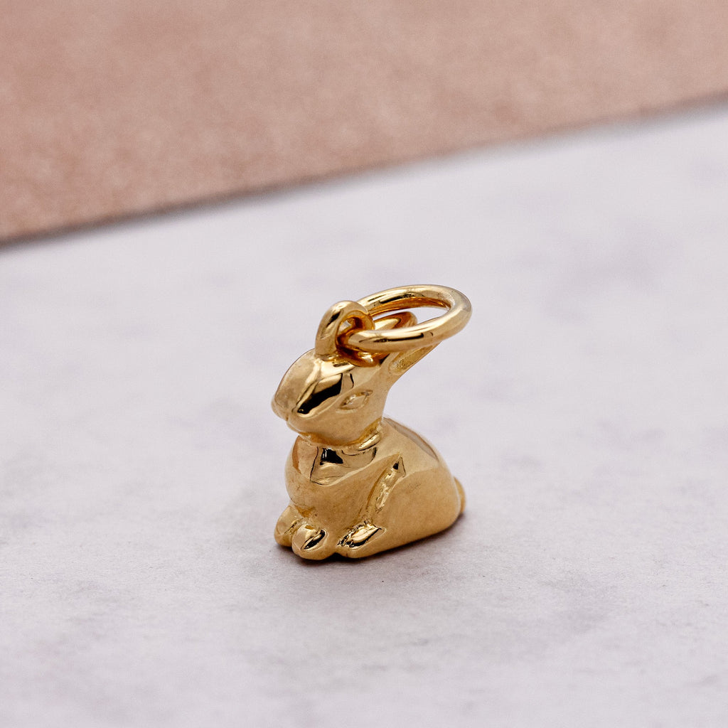 Bunny Rabbit Silver Charm