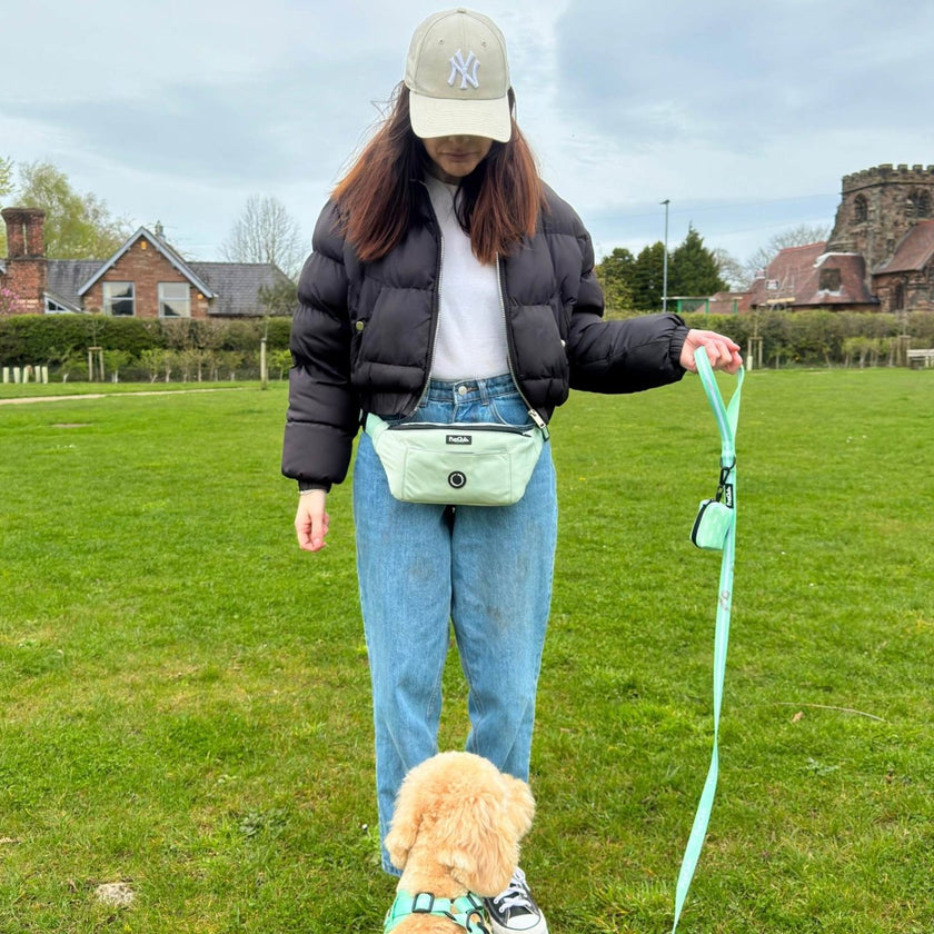 Riñonera para paseo de perros - Verde salvia