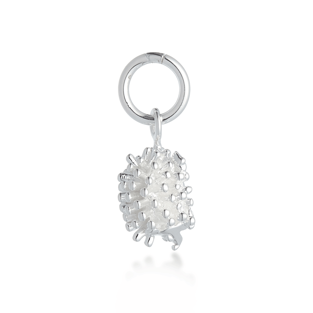 Hedgehog Silver Charm