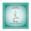 Holly Silver Charm