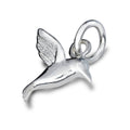 Hummingbird Silver Charm