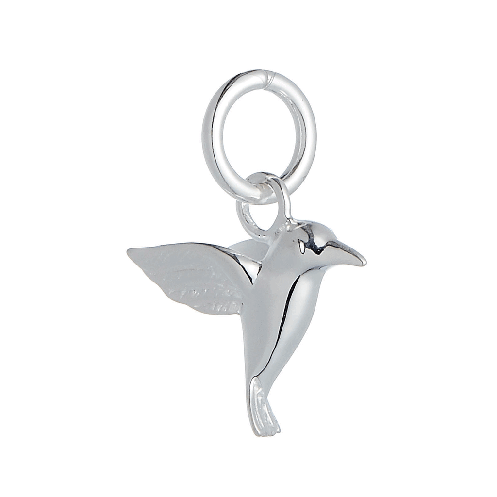 Hummingbird Silver Charm