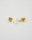 Sea Shell Pearl Earrings