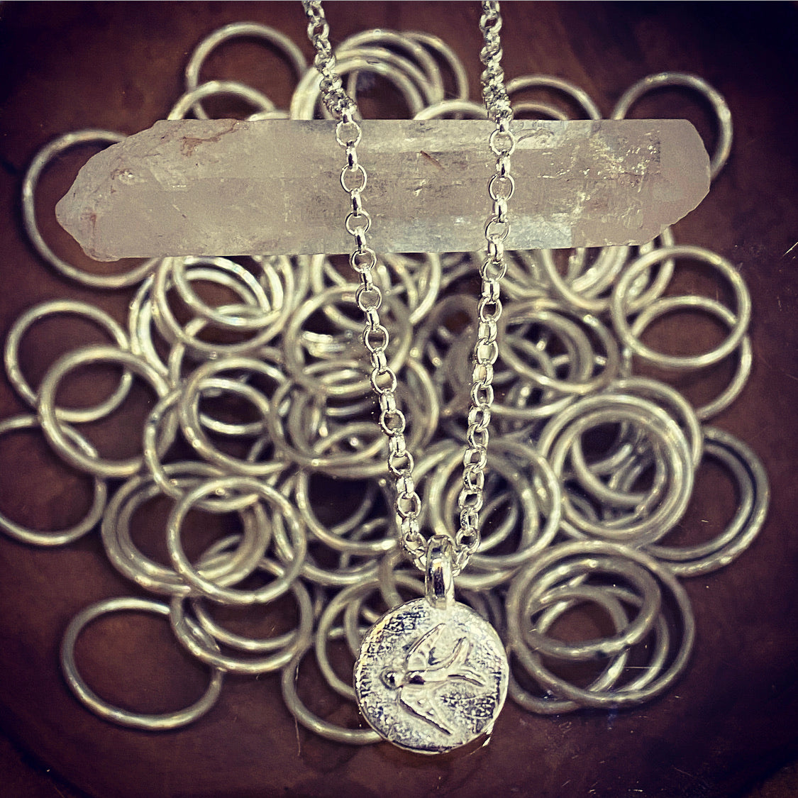 Swallow Disc Necklace