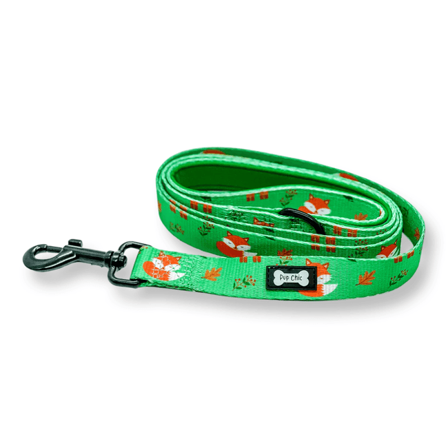 Inquisitive Fox 5ft Dog Lead