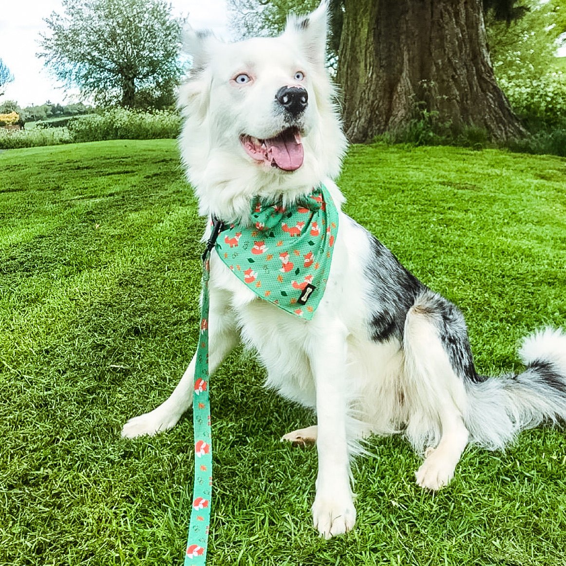 Inquisitive Fox Cooling Bandana