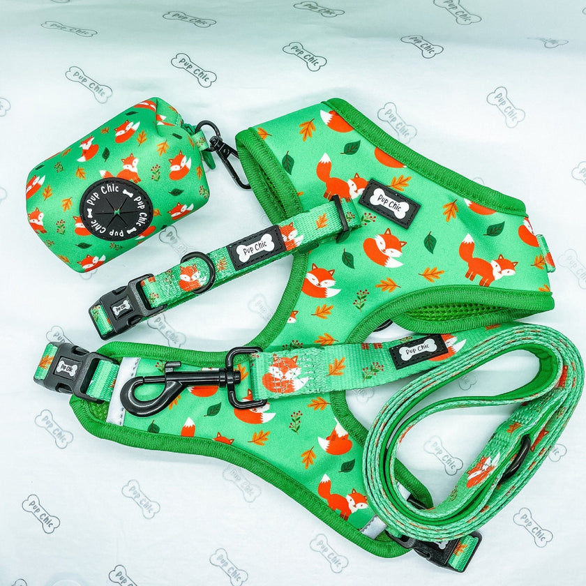 Seconds: Inquisitive Fox XXS Puppy Harness