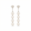 Pearl Drop Earrings