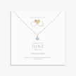 Moonstone Silver Necklace