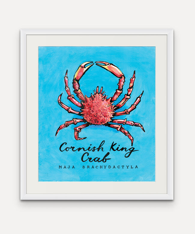 Cornish King Crab  - Cornish Sea Life Series -  Giclée Print
