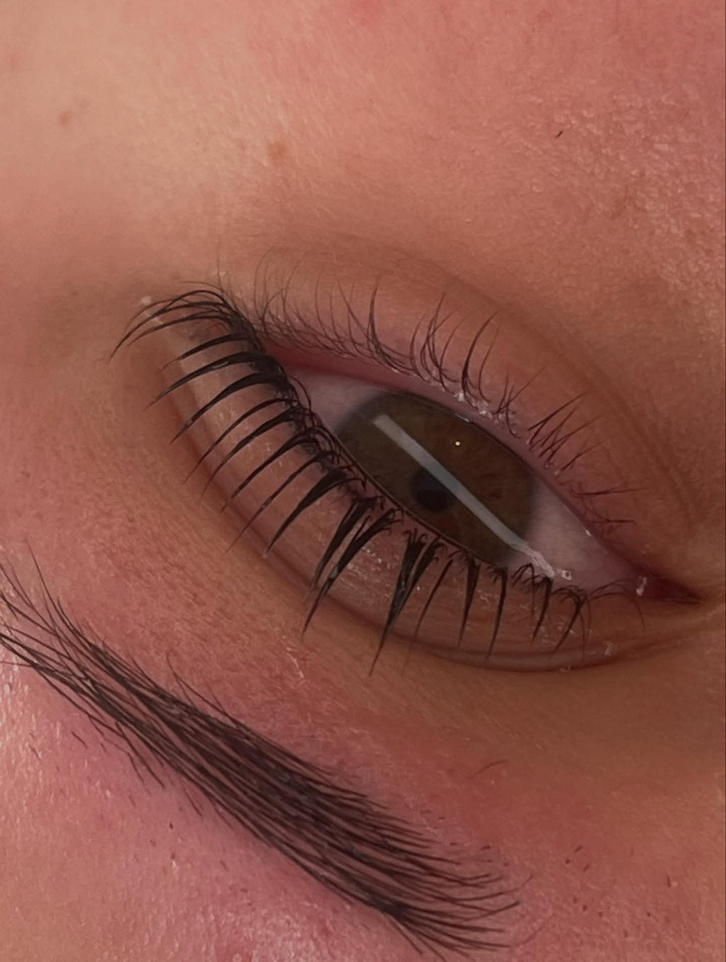 Flutter and Frame Lash Lift & Brow Lamination Sachets