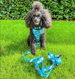 Lazy Sloth Puppy Harness – XXS Size for Tiny Breeds 🦥💚