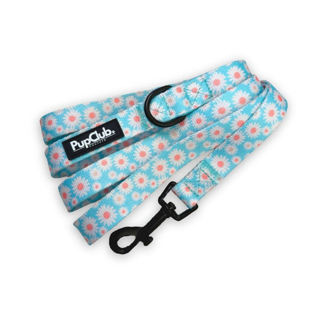 Plomo - Margaritas pastel