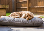 LUXURY ORTHOPAEDIC MEMORY FOAM DOG CRATE MATTRESS | GREY