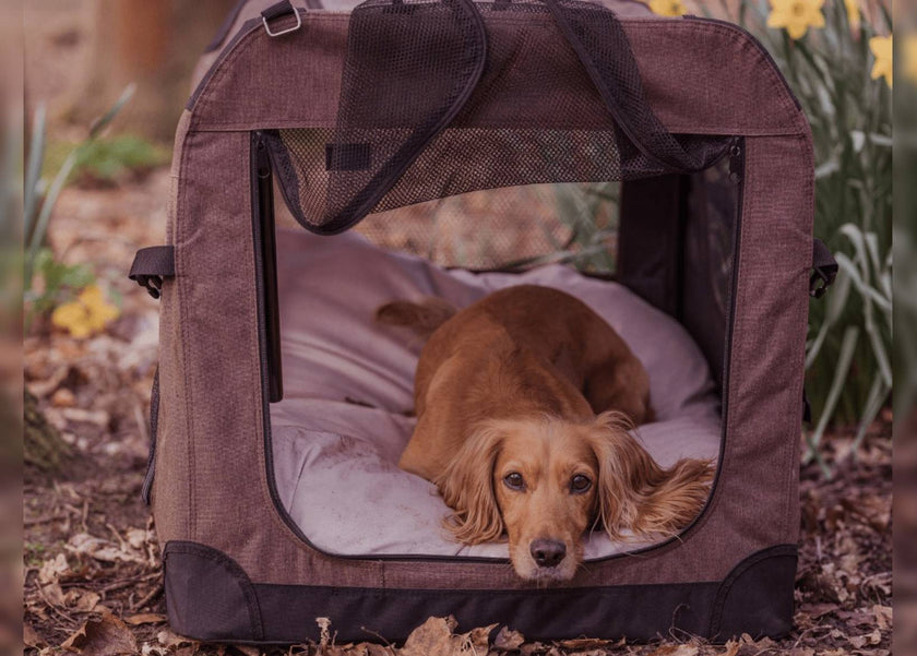 LUXURIÖSE ORTHOPÄDISCHE HUNDEBETTMATRATZE AUS MEMORY-SCHAUM FÜR HUNDEKÄFIGE | ROSA
