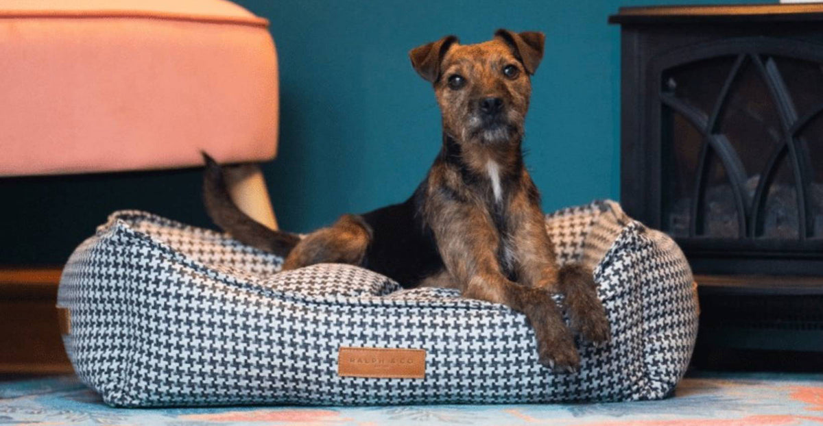 THE KENSINGTON | LUXURIÖSES HUNDEBETT MIT HAHNENTRITT UND KOPFTEIL