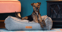 THE KENSINGTON | LUXURIÖSES HUNDEBETT MIT HAHNENTRITT UND KOPFTEIL