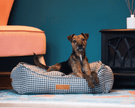 THE KENSINGTON | LUXURIÖSES HUNDEBETT MIT HAHNENTRITT UND KOPFTEIL