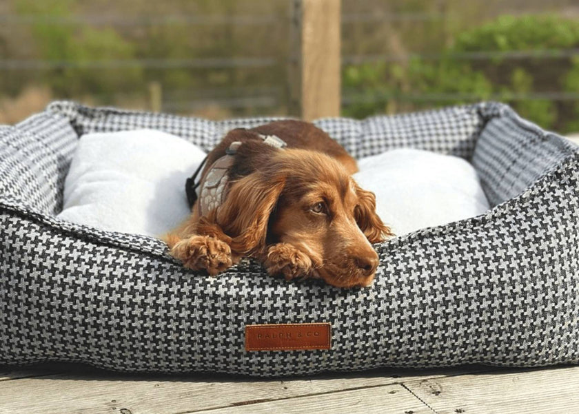 THE KENSINGTON | LUXURIÖSES HUNDEBETT MIT HAHNENTRITT UND KOPFTEIL