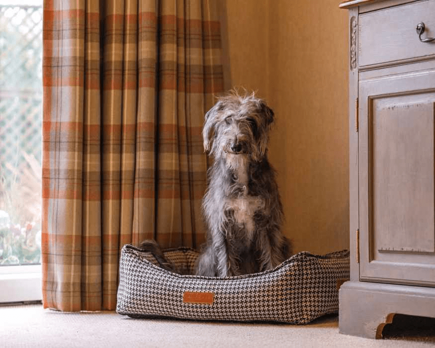 THE KENSINGTON | LUXURIÖSES HUNDEBETT MIT HAHNENTRITT UND KOPFTEIL