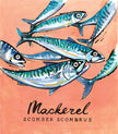 Mackerel  - Cornish Sea Life Series -  Giclée Print