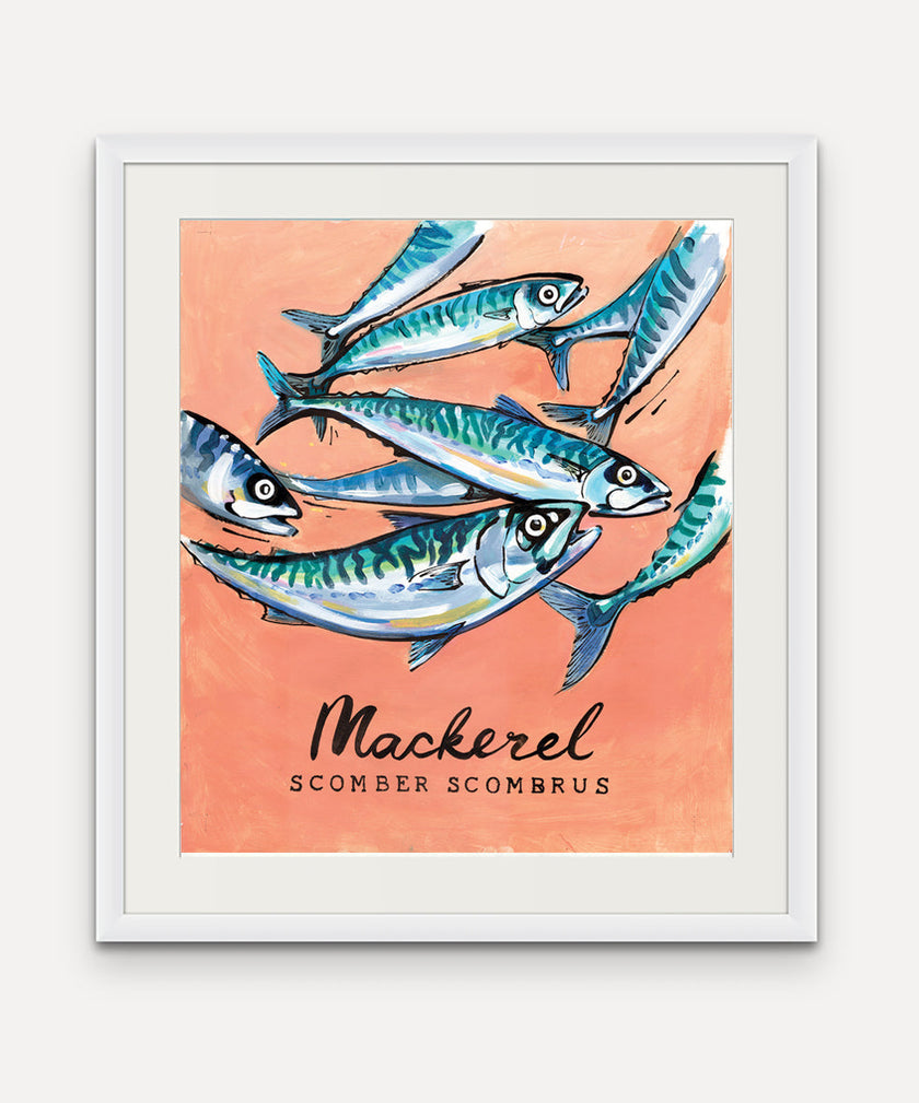 Mackerel  - Cornish Sea Life Series -  Giclée Print