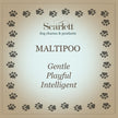 Maltipoo Silver Dog Charm