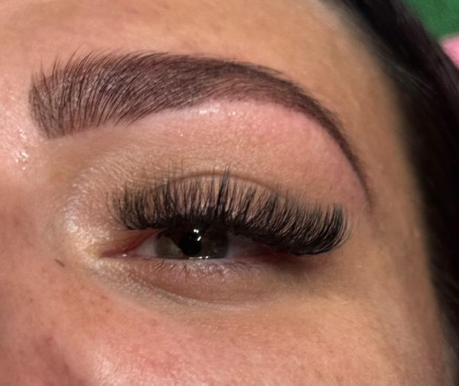 10D Clover Single Length 16 Row Tray
