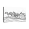 Zebra Plains Canvas