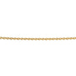 Beginnings Plated Curb Chain with Extender 56cm-61cm