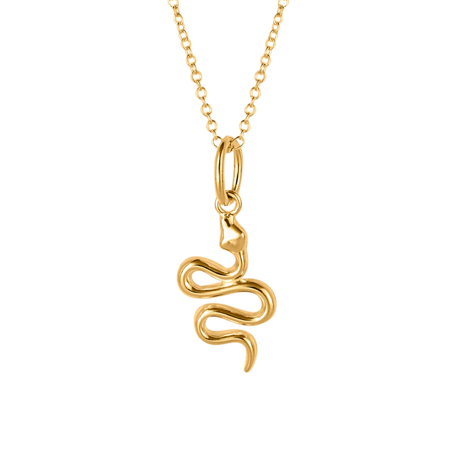 Beginnings Snake Necklace