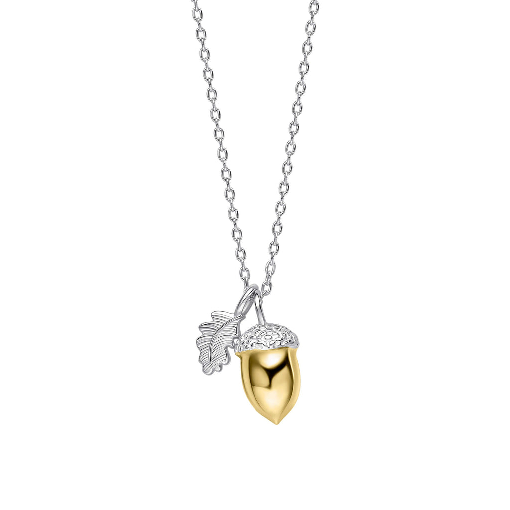 Laura Ashley Silver Broadoak Acorn Necklace